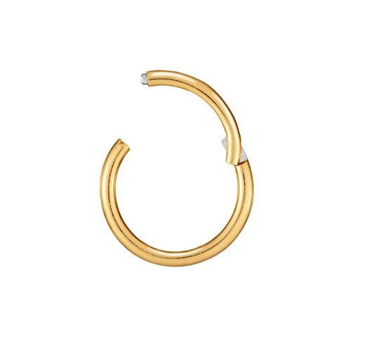 Gold Titanium Clasp Hoop